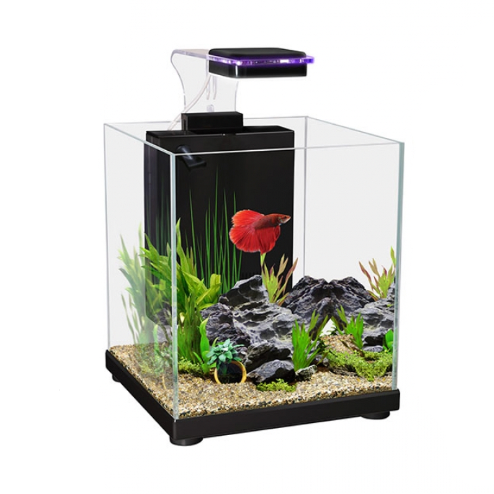 Betta Sanctuary Glass Aquarium 10L - Black