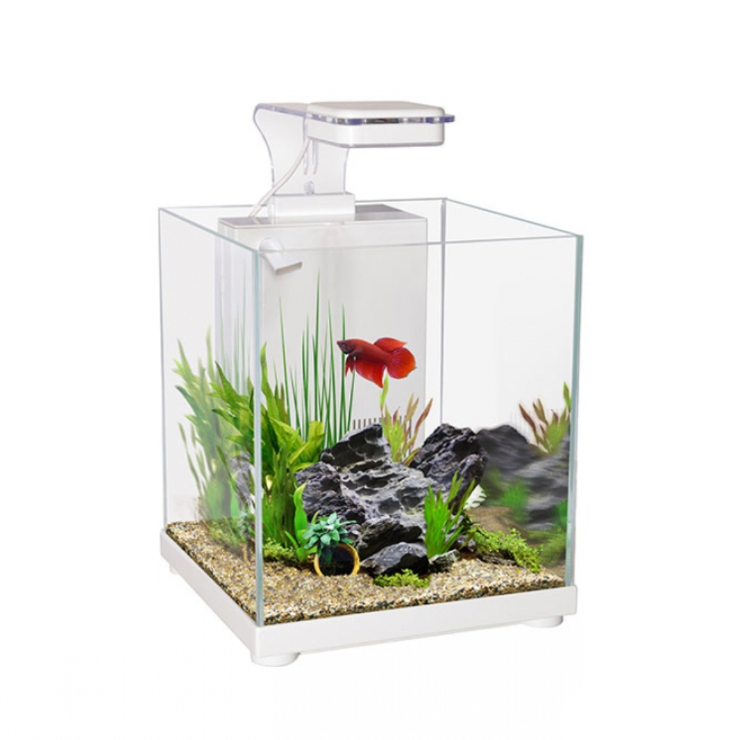 Betta Sanctuary Glass Aquarium 10L - White