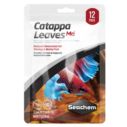 Catappa Leaves 12 Pack