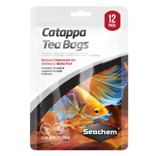 Catappa Tea Bags 12 Pack