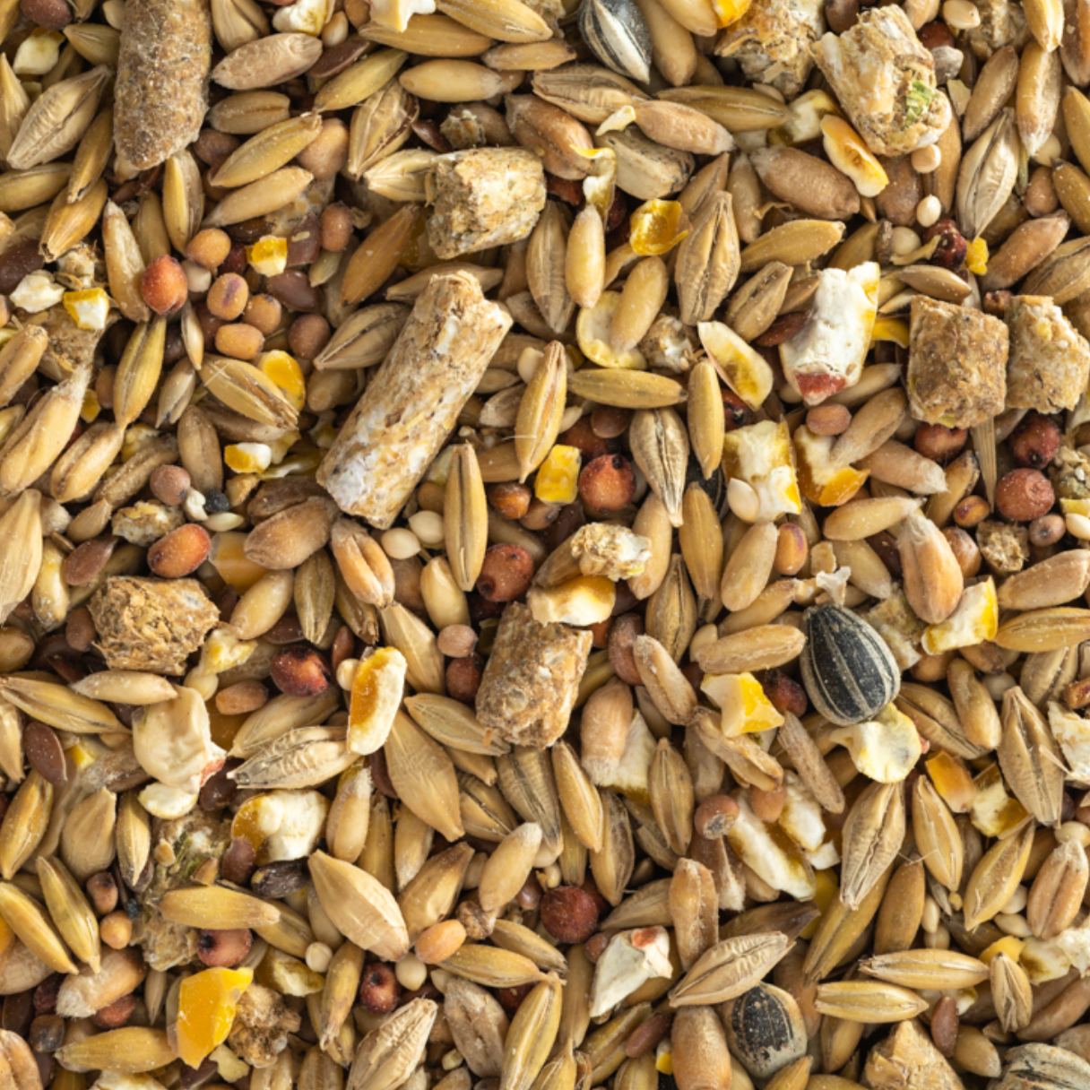 Top Flight Rat & Mouse Mix 2kg