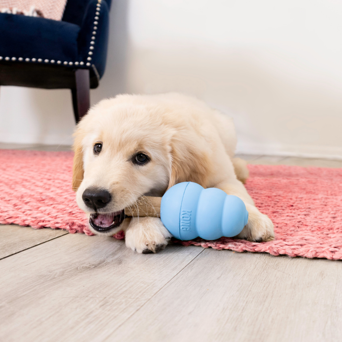 KONG Ziggies Enhanced Puppy