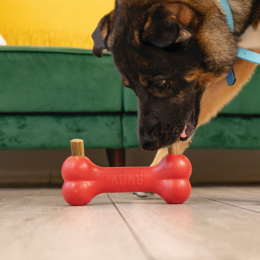 KONG Ziggies Enhanced