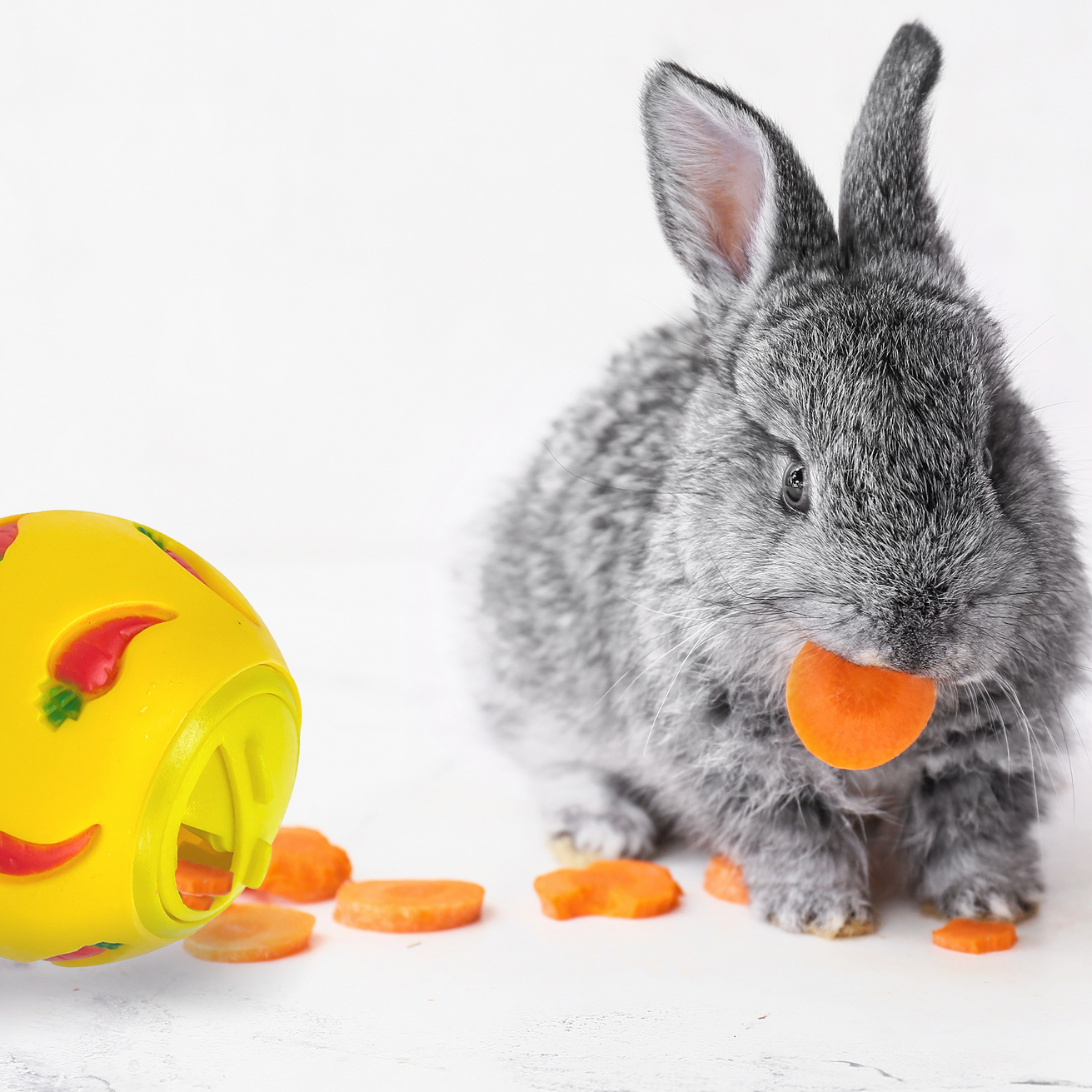 Pipsqueak Treat Ball 7.5cm