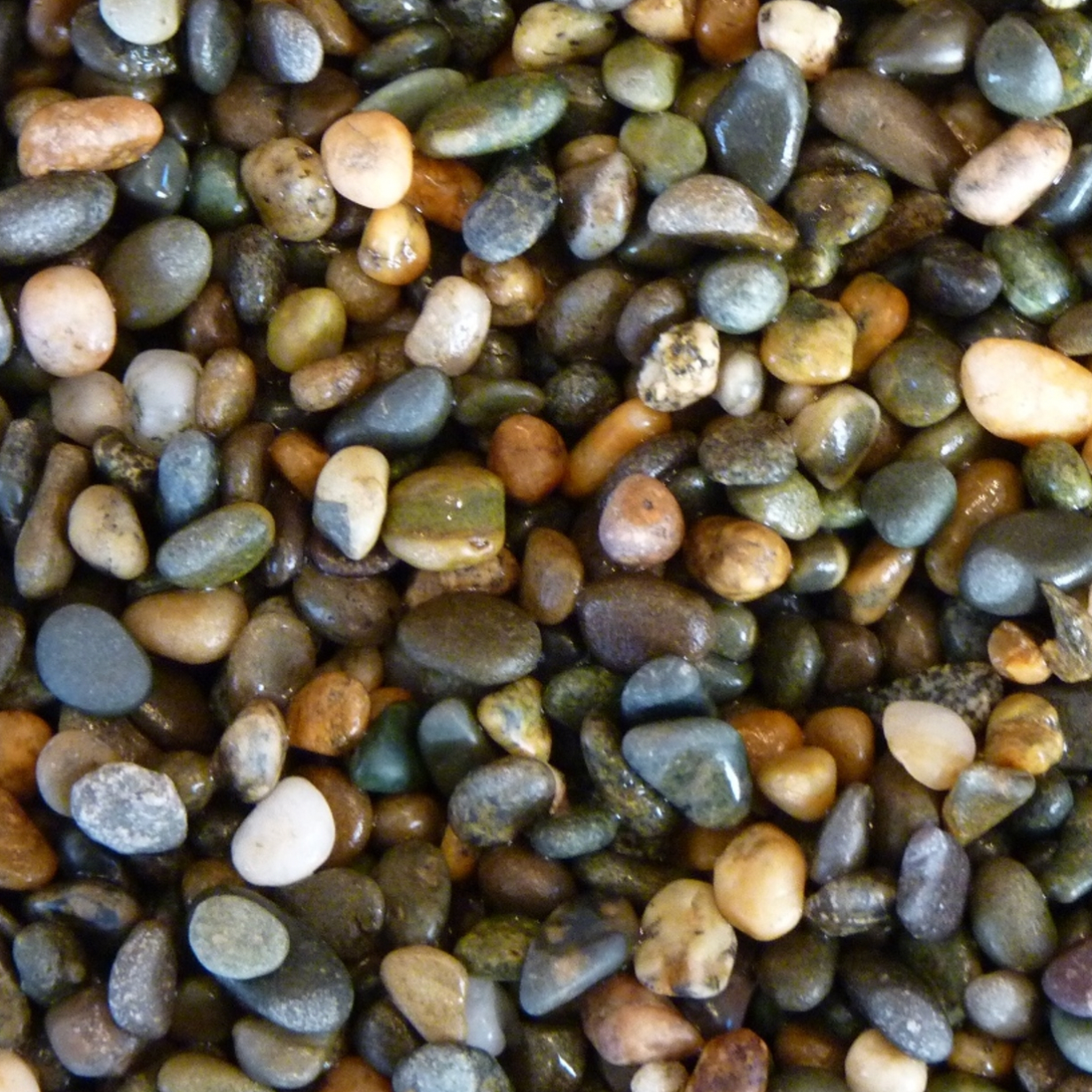 Gravel Pepper