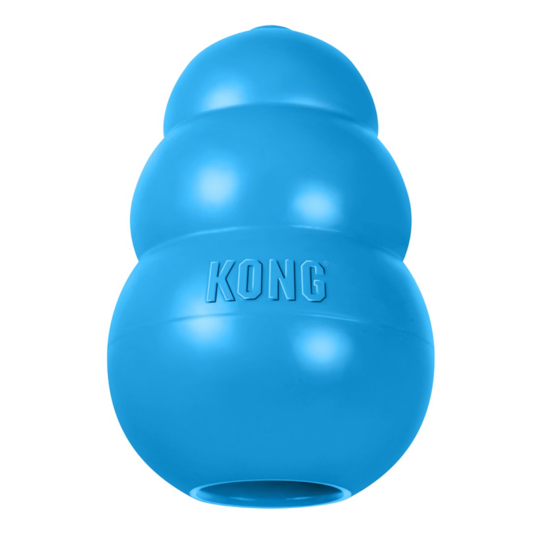 KONG Puppy