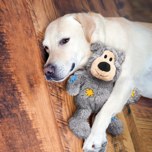 KONG Wild Knots Bear