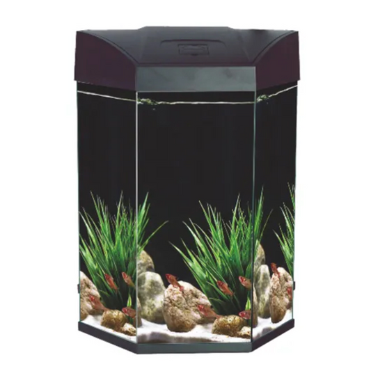 Hex Aquarium 70L - Black