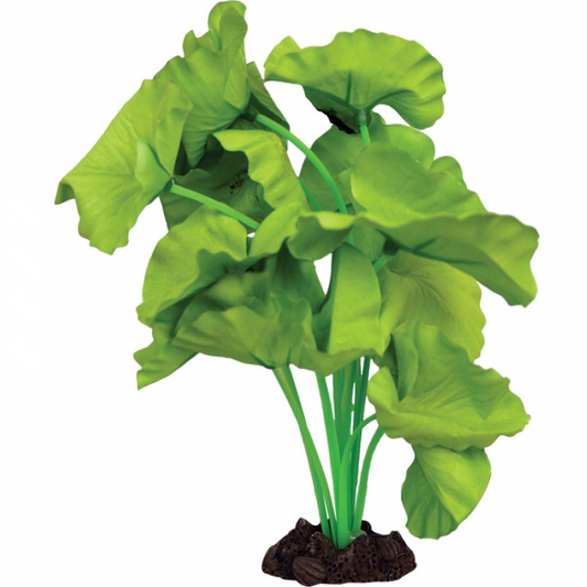 Aqua One Silk Plant - Amazon Tiger Lotus Green 20cm