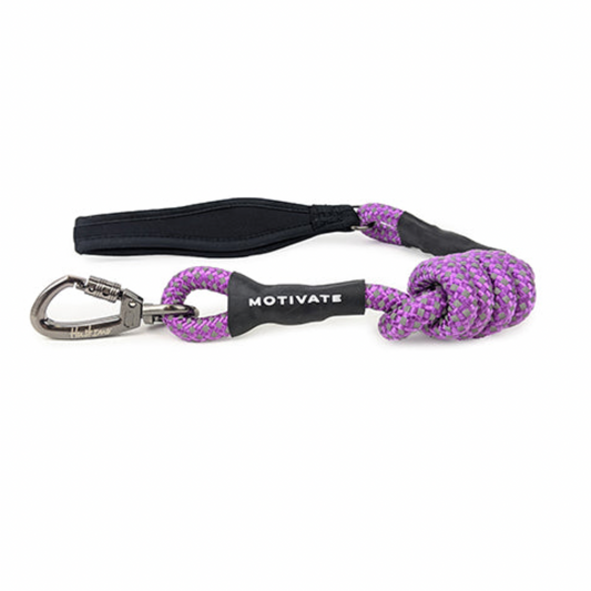 Lead Huskimo Motivate