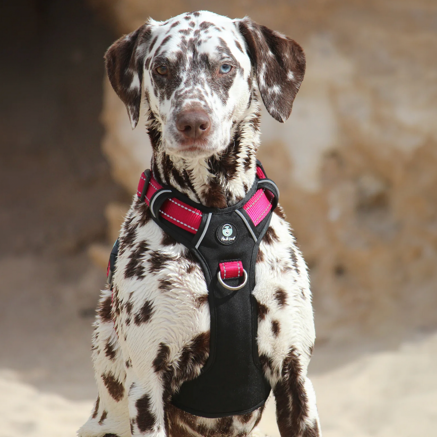 Huskimo Ultimate Harness