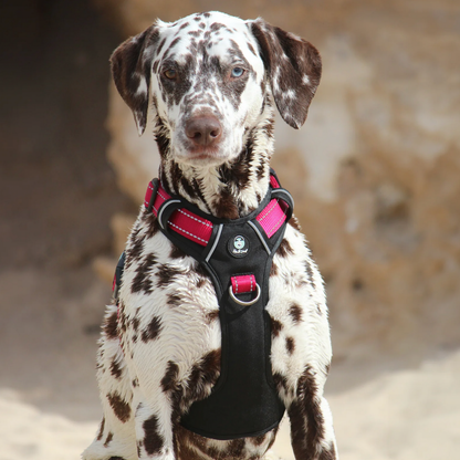 Huskimo Ultimate Harness