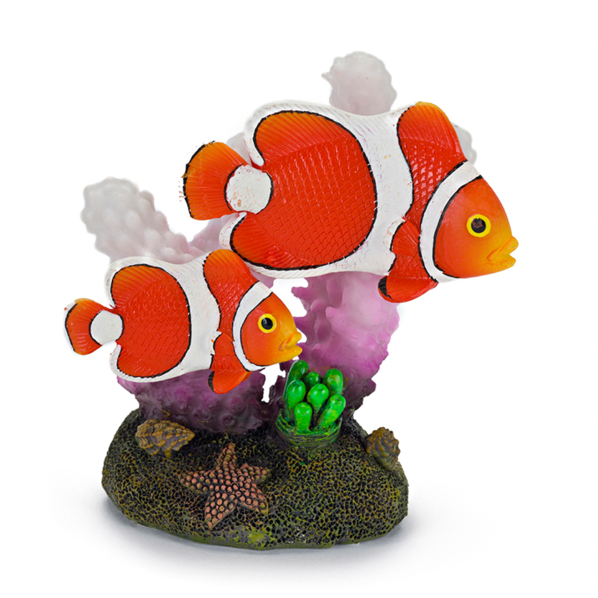Clown Fish & Coral