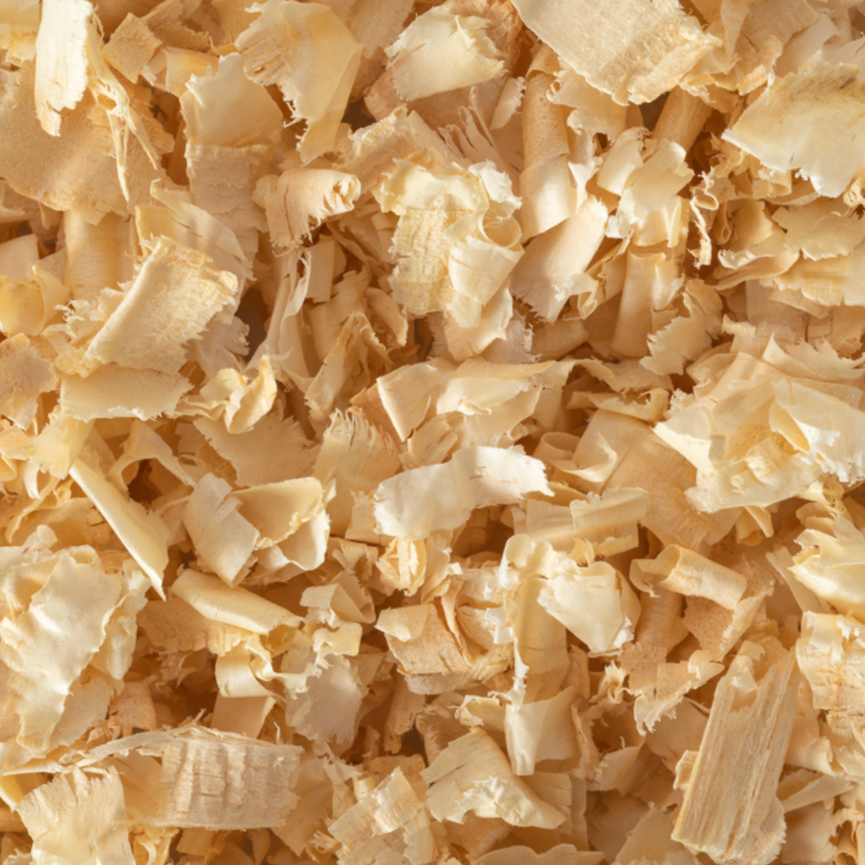 Pine Shavings