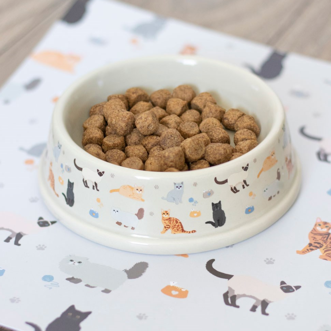 Cat Print Food Bowl