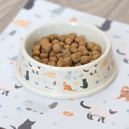 Cat Print Food Bowl