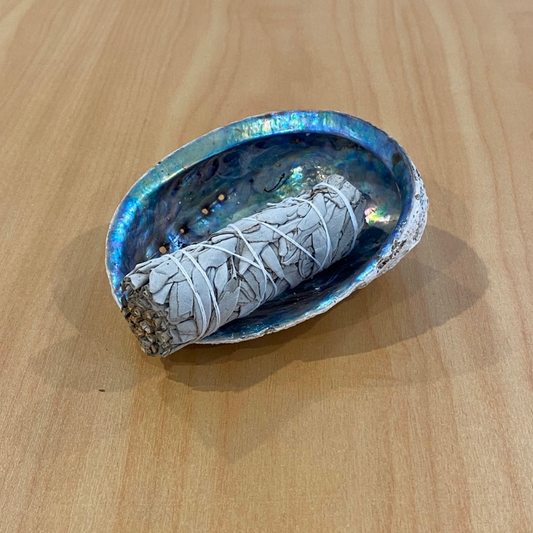 Earth Inspired 4 inch White Sage Smudge