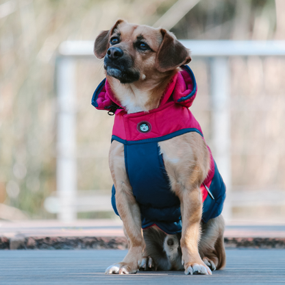 Huskimo Snowparka Hot Pink