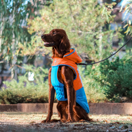 Huskimo Snowparka Orange
