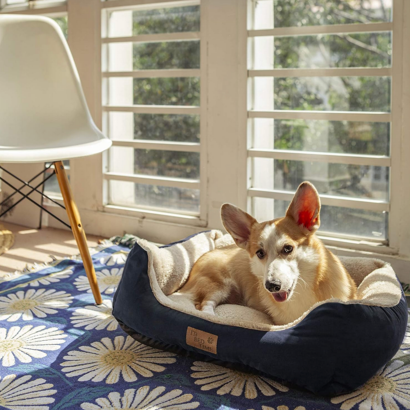 It's Bed Time Plush Dozer Rectangle Dog Bed