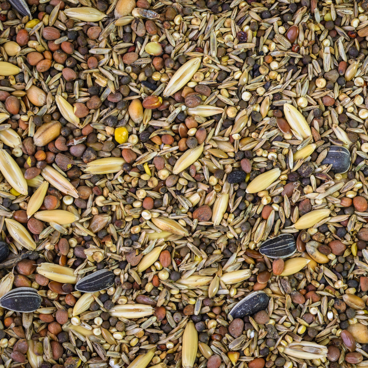 Wild Finch (Fine) Mix - 5kg