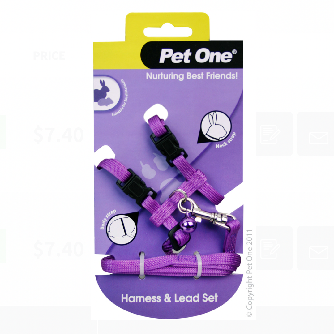 Pet One Leash & Harness Rabbit / Guinea Pig