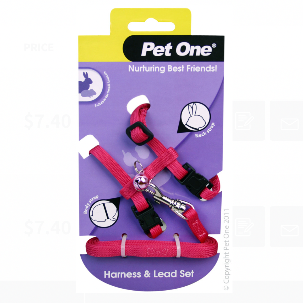 Pet One Leash & Harness Rabbit / Guinea Pig