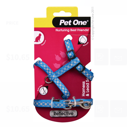 Pet One Harness & Lead Set - Cat/Kitten Reflective