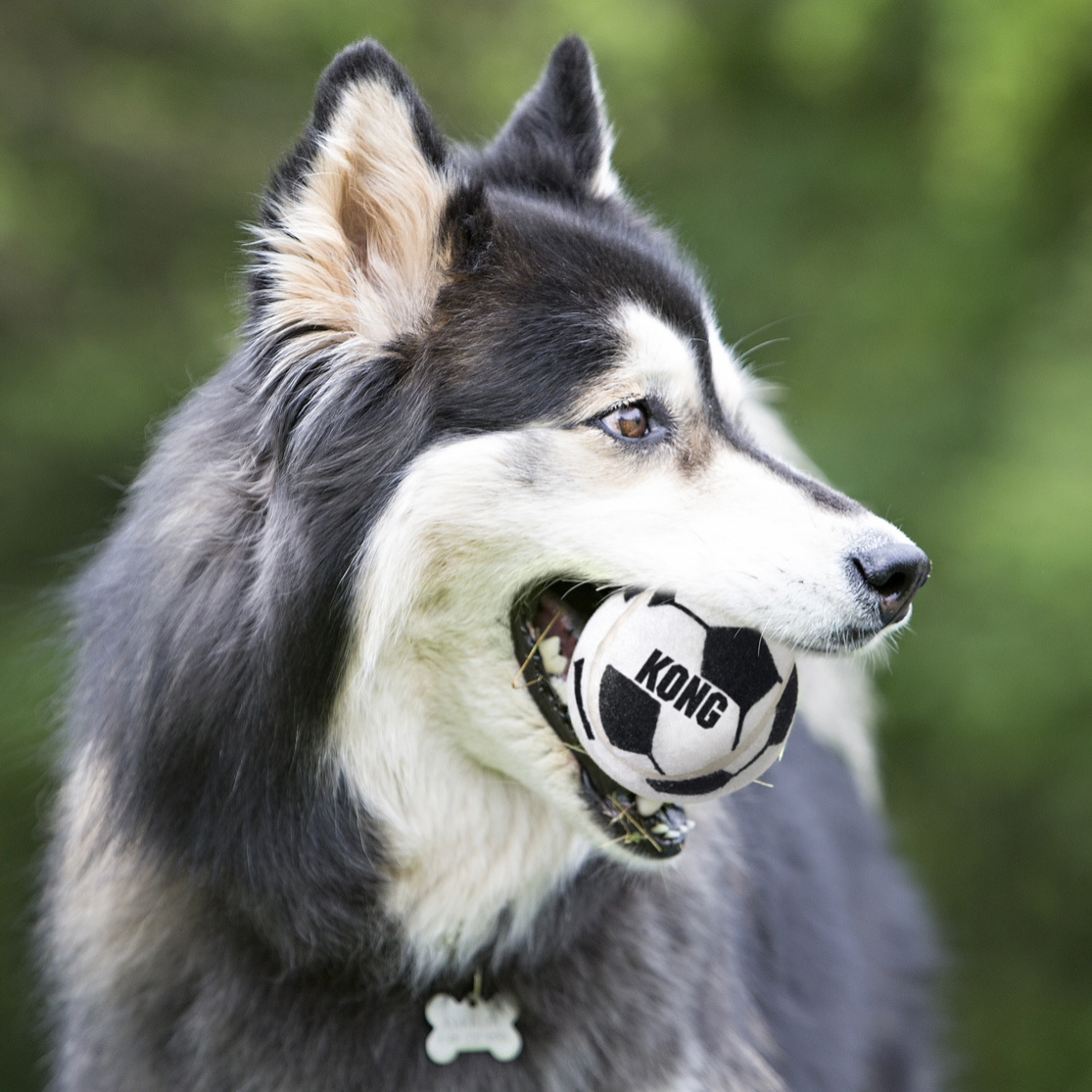 KONG Sport Balls