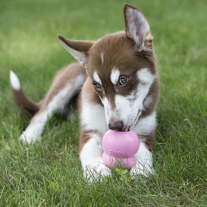 KONG Easy Treat - Puppy