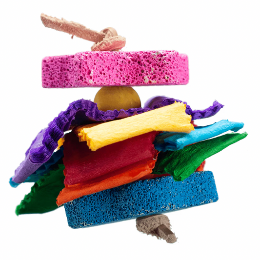 Small Colour Splash Pumice 10cm