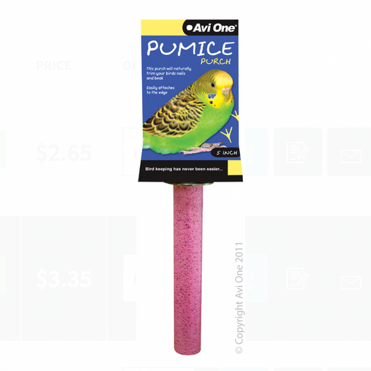 Avi One Pumice Perch