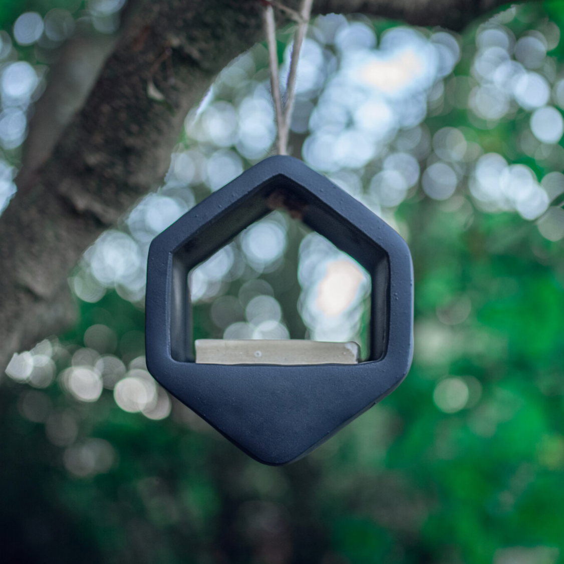 Geo Feeder