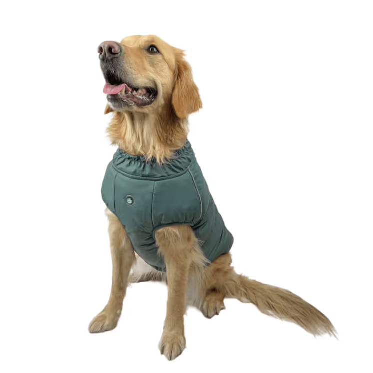 Huskimo Dog Coat Moss