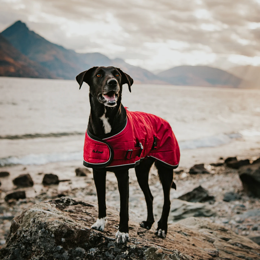 Huskimo Summit Pro Coat