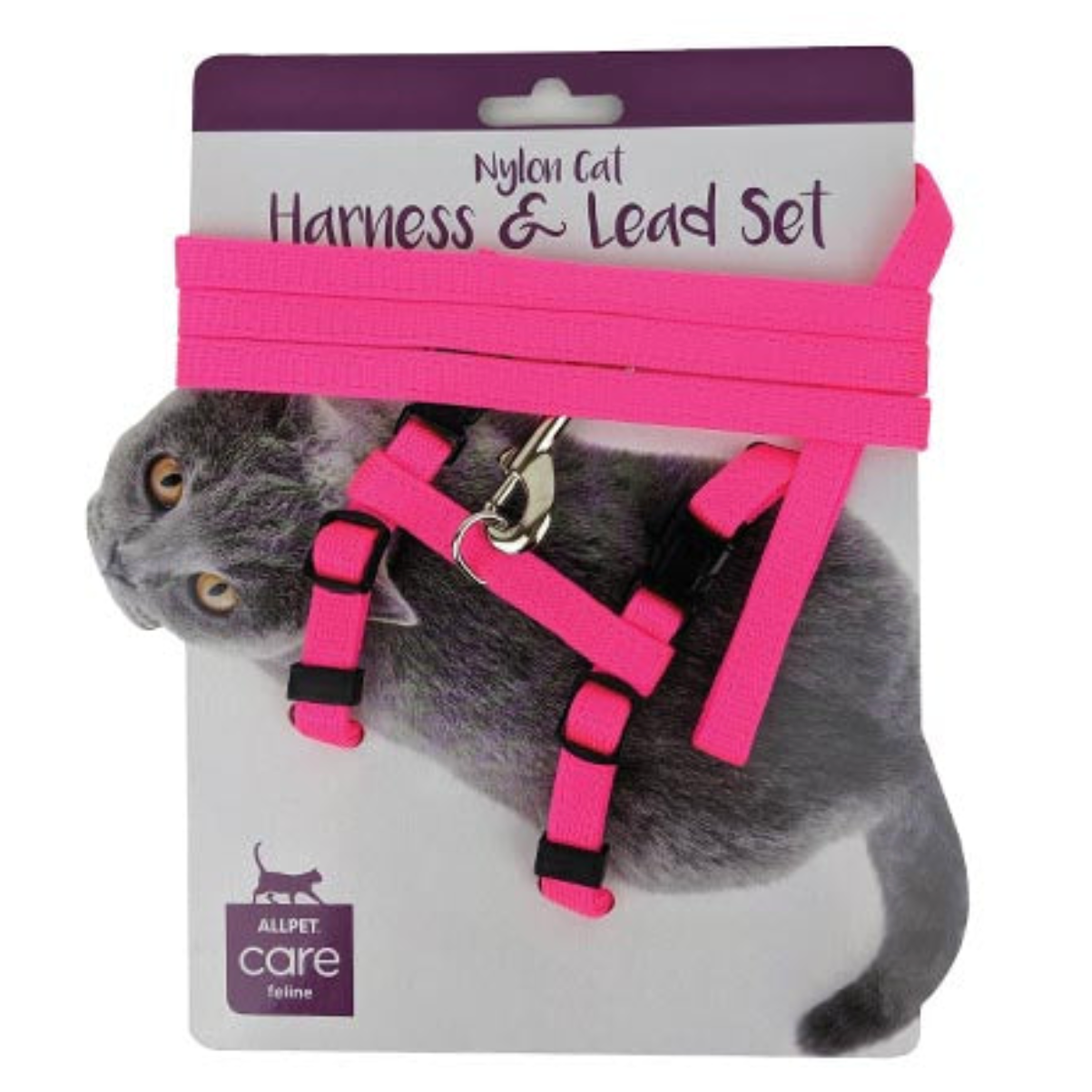 Cat Harness & Lead
