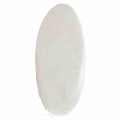 Top Flight Cuttlefish Bone + Holder