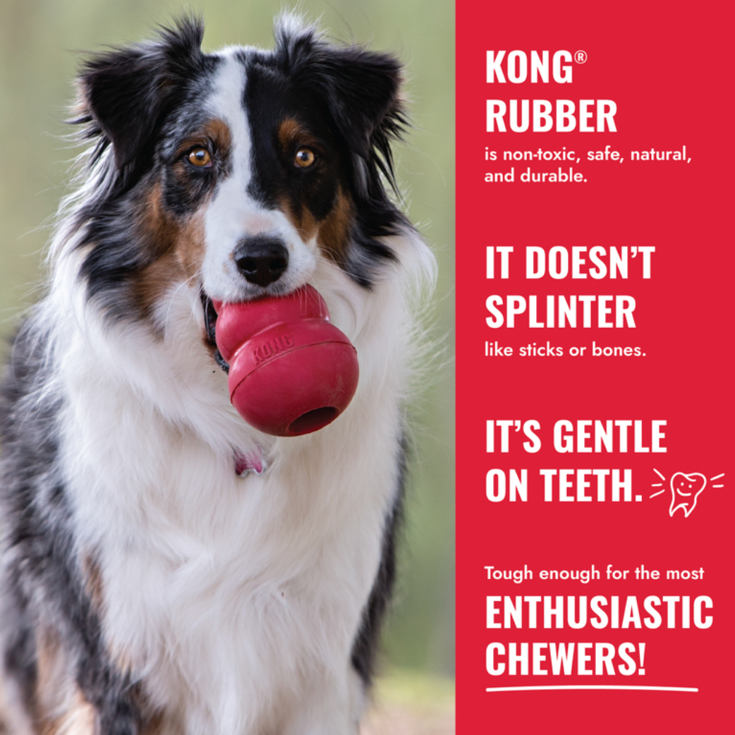 Kong Goodie Bone