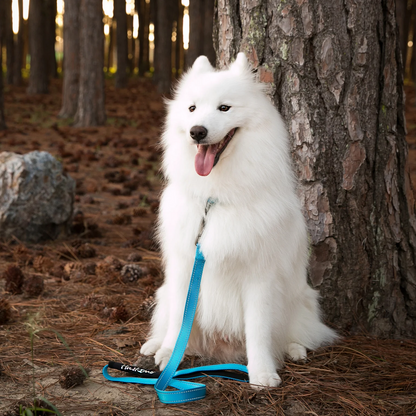 Huskimo TrekPro Lead