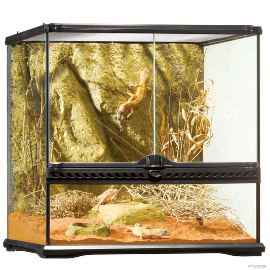Exo Terra Glass Terrarium - 45cm x 45cm x 45cm