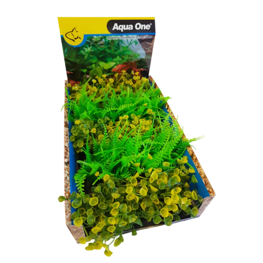 Ecoscape Foreground Ogris Auribus Yl/fern