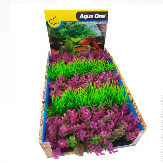 Ecoscape Foreground Catspaw Pk/hair Grass