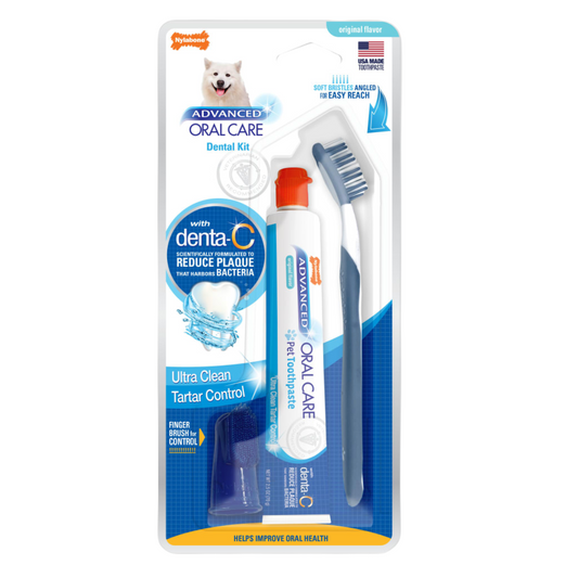 Nylabone Advanced Oral Care Dental Kit