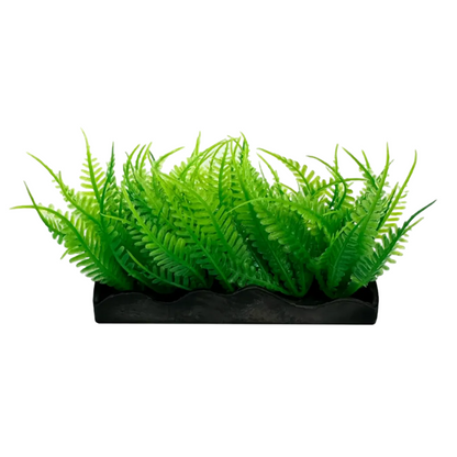 Ecoscape Foreground Ogris Auribus Yl/fern