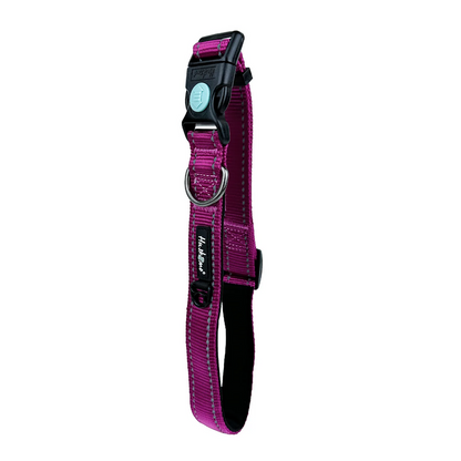 Huskimo Dog Collars | Little Beasts Pet Shop