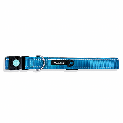Huskimo Dog Collars | Little Beasts Pet Shop