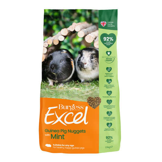 Burgess Excel Guinea Pig Nuggets Mint