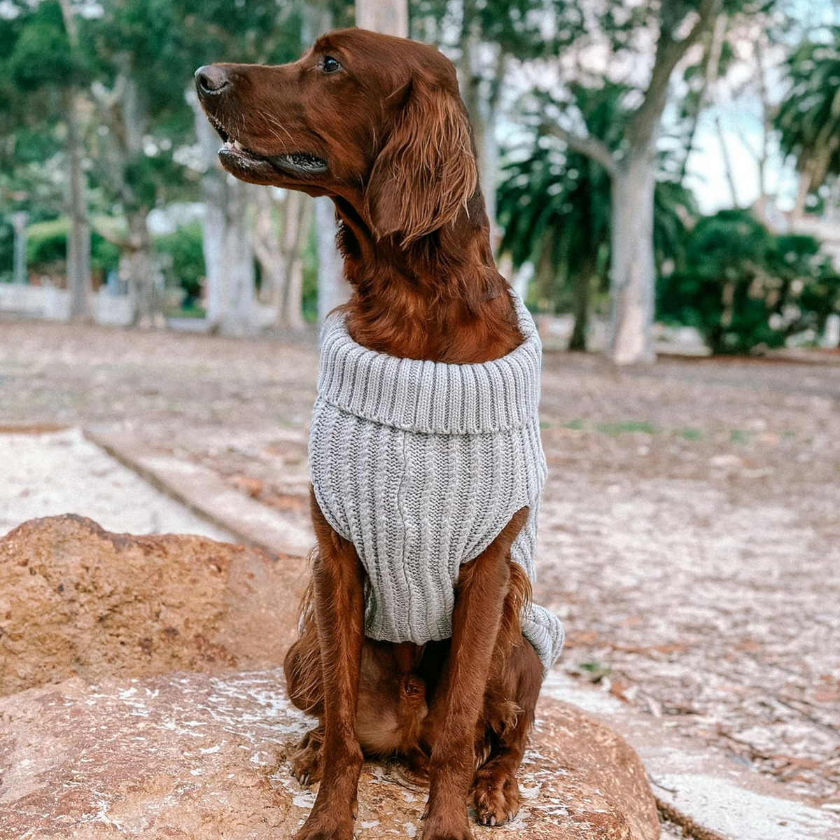Huskimo Cableknit Chambray grey dog jumper for winter
