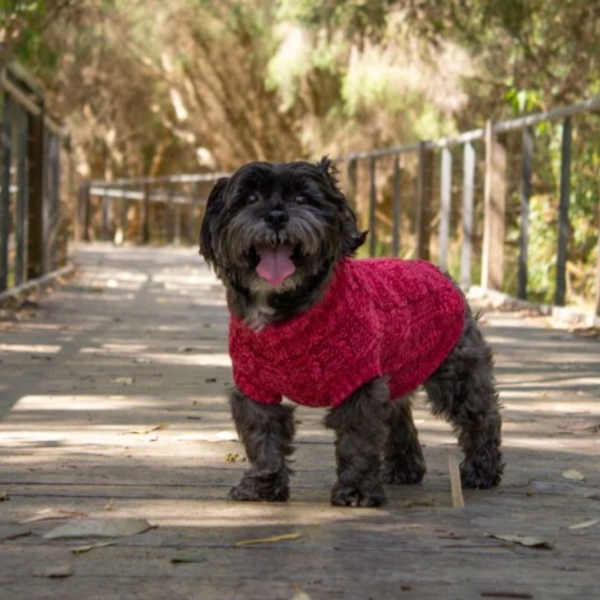Huskimo Cableknit Chambray red dog jumper for winter