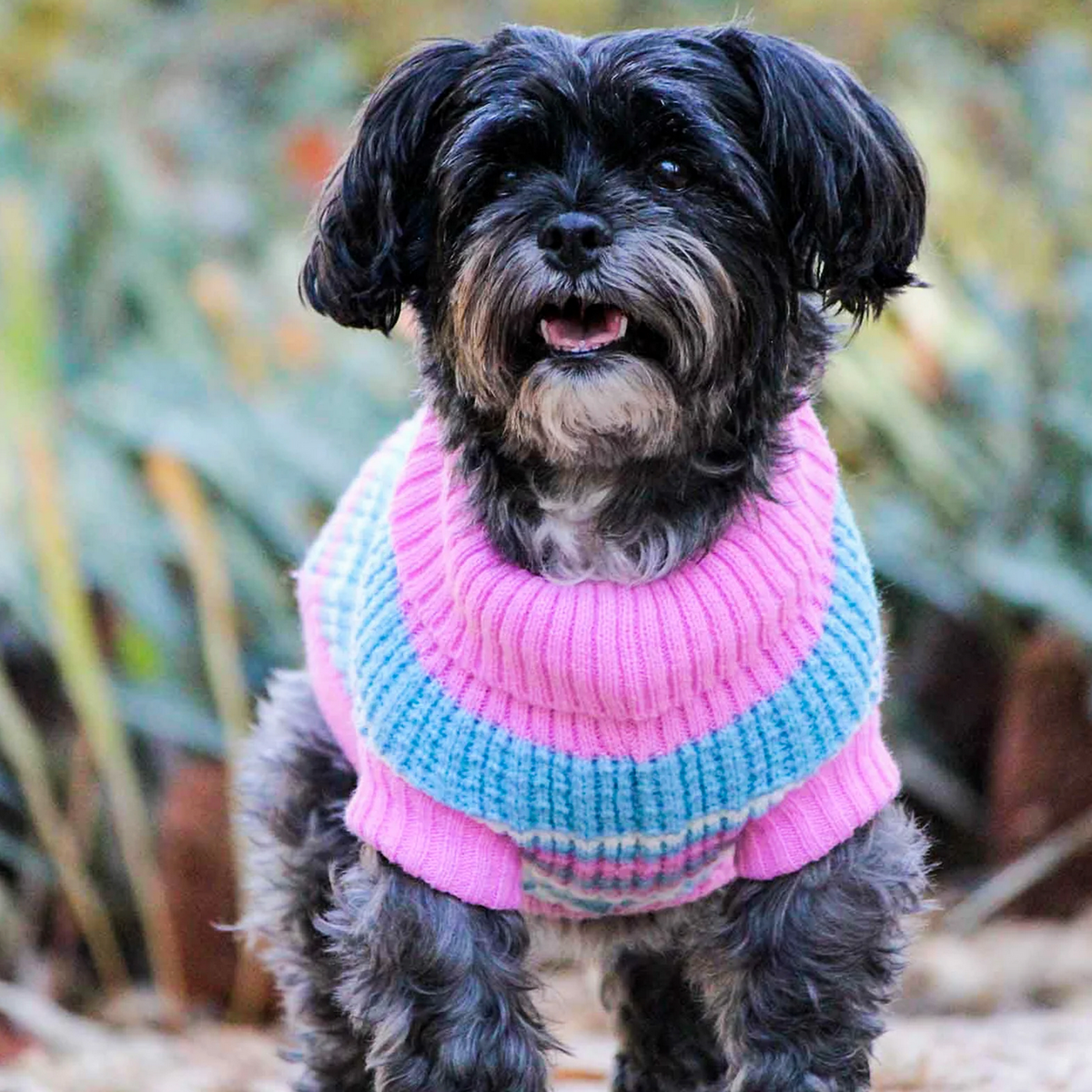 Huskimo Ski Lodge pink dog jumper for winter weather